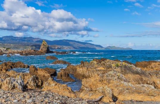 Beautiful coastline at Owhiro Bay in Wellington, North Island, New Zealand