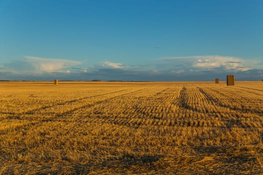 view of a crop field in the north of Spain