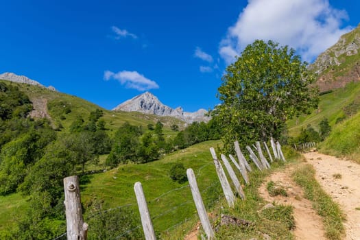 Massif of Las Ubinas between Asturias and Leon. In the Natural Parks of Las Ubinas-La Mesa in Asturias and the Natural Park of Babia y Luna in Leon, Spain