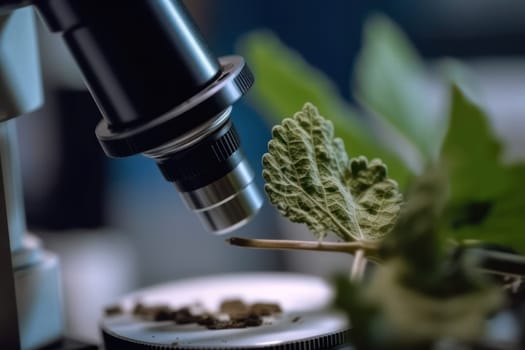 test plant samples on a microscope slide close up.chemical and biological experiments in the laboratory.