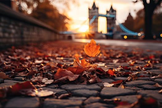 Tower Bridge with autumn leaves in London, England, UK.