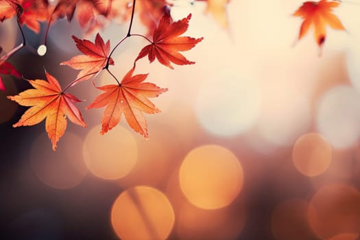 Beautiful orange and golden autumn leaves against a blurry park in sunlight with beautiful bokeh. Natural autumn background.