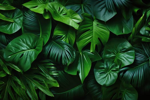 Green leaves background. Green leaves color tone dark in the morning.