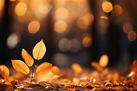Beautiful orange and golden autumn leaves against a blurry park in sunlight with beautiful bokeh. Natural autumn background.