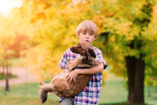 Cute boy playing and walking with his dog in the meadow.