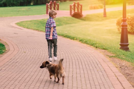 Boy hugging a dog and plyaing with in the fall, city park