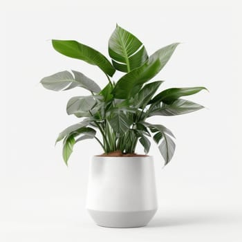 A minimalistic potted plant in a white background creates a serene atmosphere. Perfect for home decor. AI Generative.
