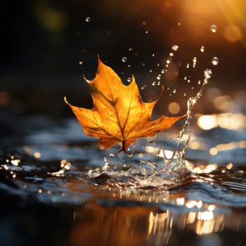 Autumn leaf falls on wet ground after rain .on autumn blurred background