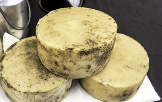 Detail of typical Spanish cured cheese, classic food