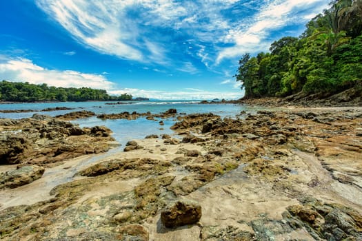 Playa in Manuel Antonio National Park, Costa Rica wildlife. Pacific ocean. Picturesque paradise tropical landscape. Pura Vida concept, travel to exotic tropical country.