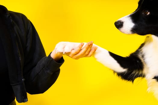 Friendship between people and animals, a studio shot, love, tender, warm feeling and emotion