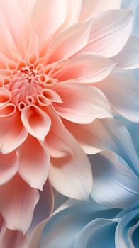 Pink and white flower petals close up. flower in full bloom, macro. floral background of delicate pink pastel color.Generative AI