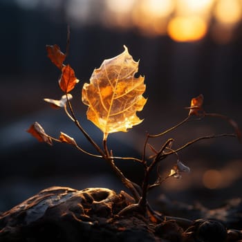 autumn background with frozen yellow leaf covered with ice.Generative AI