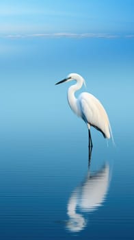 Shallow azure water reflecting a standing heron white. natural background .Generative AI