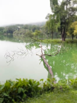 Evening cloudy sky reflected in lake, stock photo