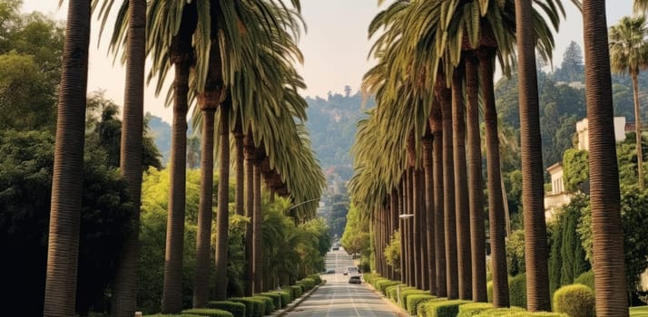 road among palm trees against a blue sky .Generative AI