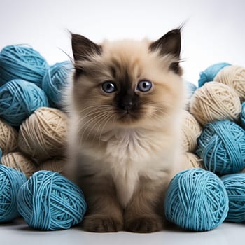 Cute kitten among with balls of yarn on a white background.