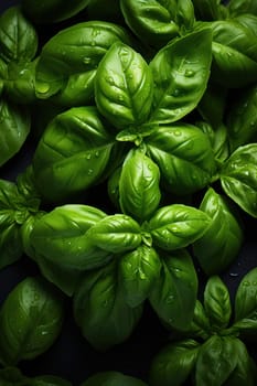 Group of basil leaves forming a background.  food background.Generative AI