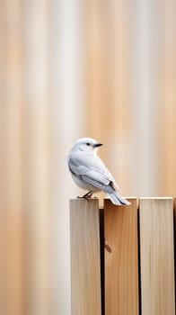 Whitewashed wooden board used to stop a serene white bird.vertical background.Generative AI