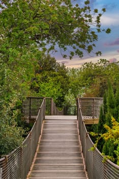 Wooden suspended bridge in the woods made of sturdy wood and surrounded by green lush trees in Fethi Pasha Grove, Uskudar, Istanbul, Turkey. The overall effect is one of peace and tranquility