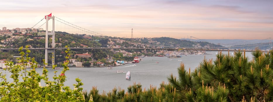 Aerial dawn shot of Istanbul city from Fethi Pasha Grove overlooking Bosphorus strait, with Bosphorus Bridge, or Bogazici Koprusu, connecting Europe and Asia, Istanbul, Turkey