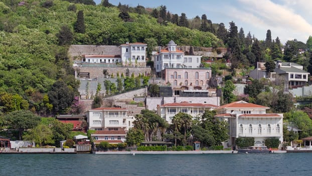 Group of traditional houses on a green hill by Bosphorus in Istanbul, Turkey. The trees in the foreground are lush and green. The sky is clear and blue