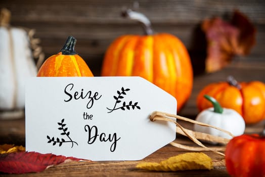 Autumn Decoration With Orange Pumpkins, Rustic fall Decoration With Label Text Seize The Day