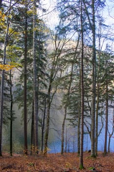 autumn view of lake Laudachsee, Gmunden, Austria