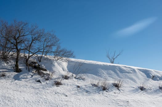Lots of snow in nature, with trees and blue sky in the high Rhoen, Hesse, Germany