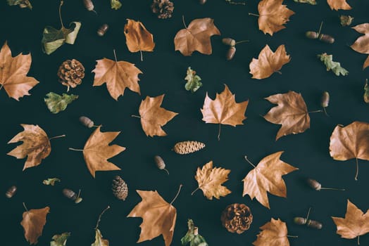 Autumn leaves with acorn and cones composition pattern on dark background from above. Maple leaf texture on black paper. Minimal thanksgiving and halloween seasonal design art. Flat lay.