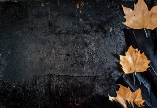 Halloween background with black raven feathers and autumn leaves on dark grunge backdrop. Scary autumn gothic abstract design with copyspace. Closeup of bird wing texture.