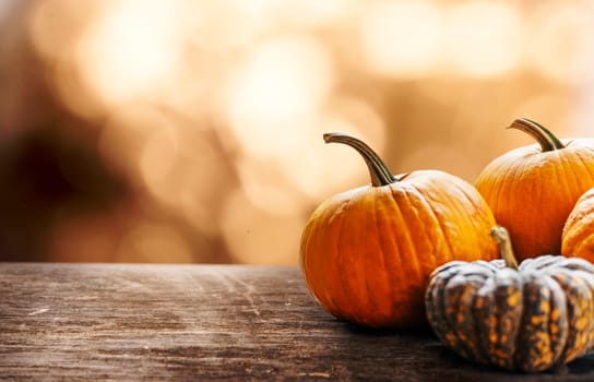 Autumn pumpkins still life on vintage wooden table and bokeh background. Thanksgiving family dinner greeting card design. Halloween pumpkin decoration border. Holiday festival concept.