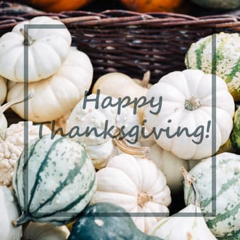 Autumn pumpkins from above. Thanksgiving family dinner greeting card design. Happy harvest concept.