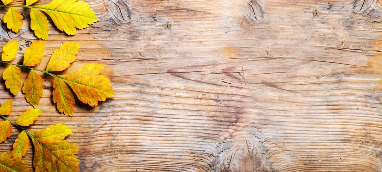 Top view of yellow autumn leaves frame on vintage wooden background. Fall season with brown yellow  leaf border on rustic table texture. September design banner.
