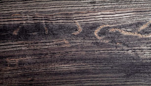 Real ebony wood texture for high impact natural feeling. Extremely high resolution photo.