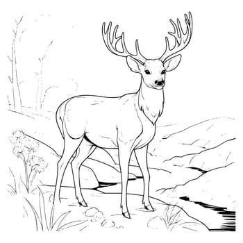Big Deer On The River Bank Coloring Page Drawing For Kids