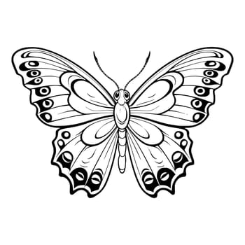 Butterfly Coloring Page for Kids