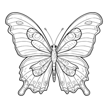 Butterfly Coloring Page for Kids