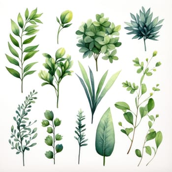 Watercolor tropical floral illustration with green leaves and greenery on white background
