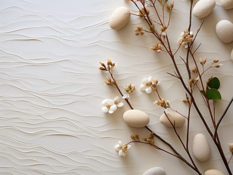 dried flowers on natural light background with copy space. High quality photo