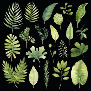 Watercolor tropical floral illustration with green leaves and greenery on black background for wedding inspiration, greetings, wallpapers, backgrounds, banners, cards and logo.