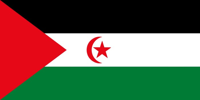 Sahrawi Arab Democratic Republic flag vector