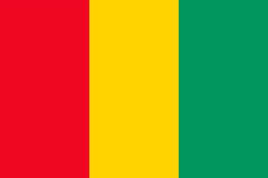 National flag of Guinea. Vector illustration.