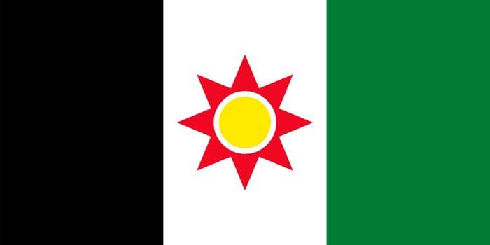 Vector Illustration Of The Iraqi Flag (1959-1963). Color Drawing Of An Old Country Flag