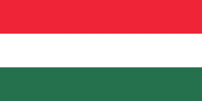 Flag, Hungarian, background, illustration, high resolution, vector, color, standard