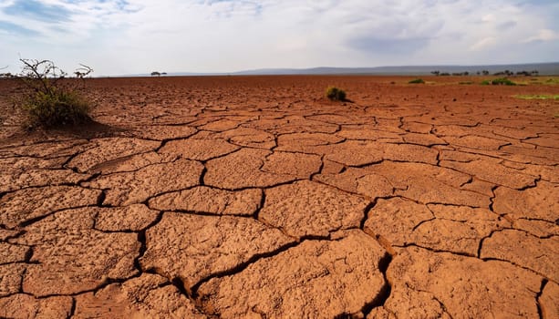 The parched, cracked red earth of Amboseli National Park, Kenya.