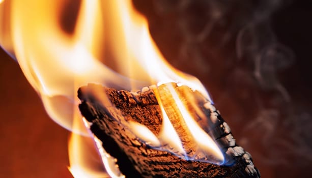 Young birch branch in fire