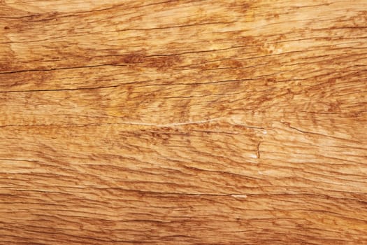 Image of wooden surface texture. Texture of wood background