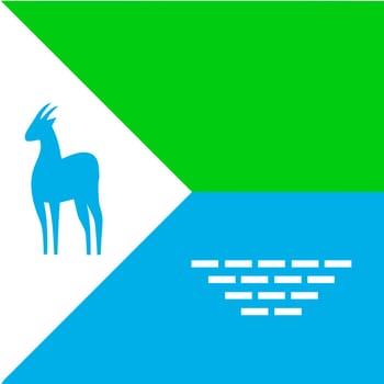 Sarn flag