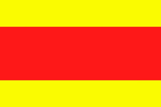 Long tinh flag